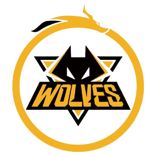 新的空气 新的空气