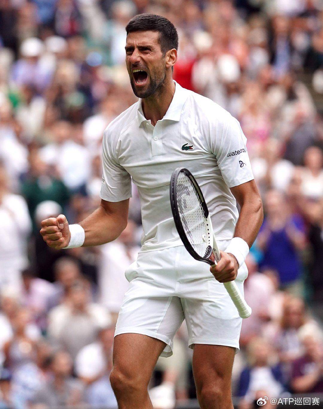 观赛指北 观赛指北