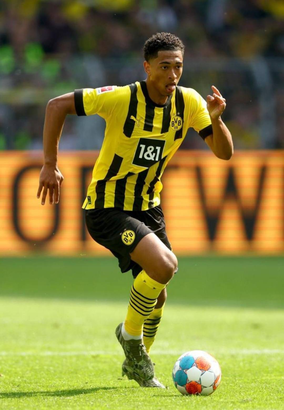 法律的尺度 法律的尺度